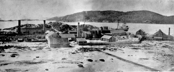 Mandal Paraffin Olie Company