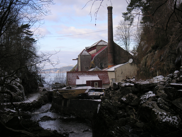 Kvernevik fabrikker, Tertens i Bergen