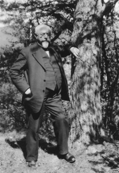Tollef Kilde hadde mange verv - her er han fotografert av Wilse i egenskap av styreledlem i Østerdalens Turistforenig i 1929, lett opplent mot en furu.Foto: Wilse / Norsk Folkemuseum<br>