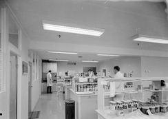 Fleischers laboratorium i Bergen, ca. 1970Foto: Norvin reklamefoto / Universitetsbiblioteket i Bergens billedsamling<br>